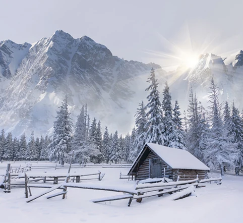 1.5(W)x1.5(H)m Latest Cool Backdrop Christmas Theme Snow Scene Photography Props Background