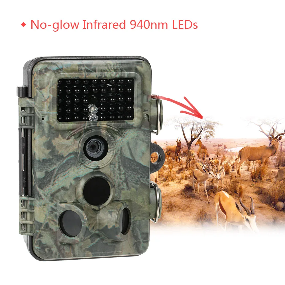 HTB14xwzNFXXXXaHXVXXq6xXFXXXM