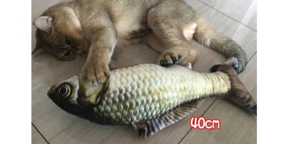 360截图20190601220121595