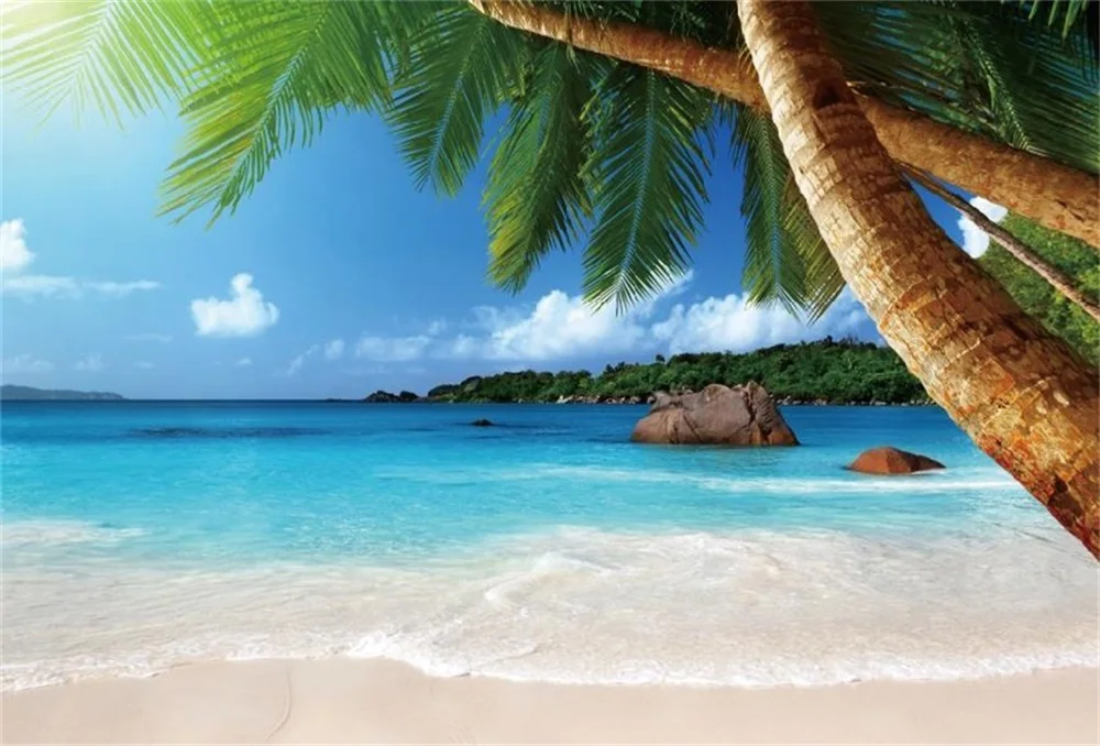 Laeacco Sea Beach Palm Tree Summer Scenic Photography Backgrounds Customized Photographic Backdrops For Photo Studio