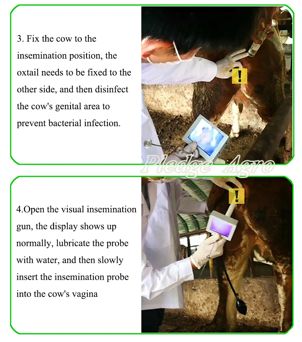 O1CN01zheNym2Gm9fCgUES8_!!305639057