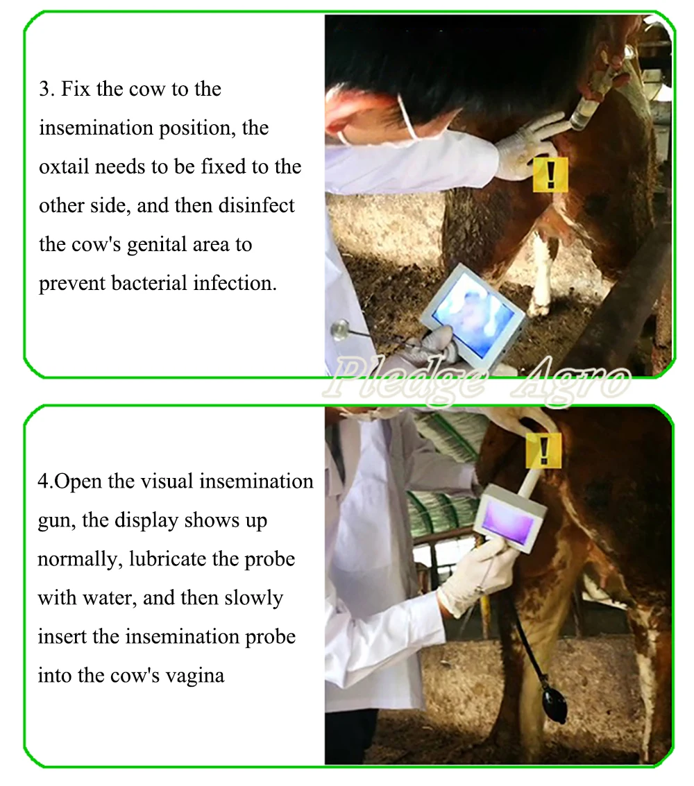 Животное визуальное осеменение пистолет для коровы, лошади, собаки, свиньи, лисы, инструмент для тестирования животных, ветеринарная трансцервикальная камера, инструменты для фермы