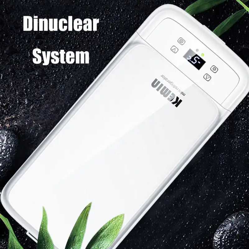  DC 12V 240V Mini Car Dual-core Refrigerator Freezer 11L Car Fridge Compressor for Car Household Pic