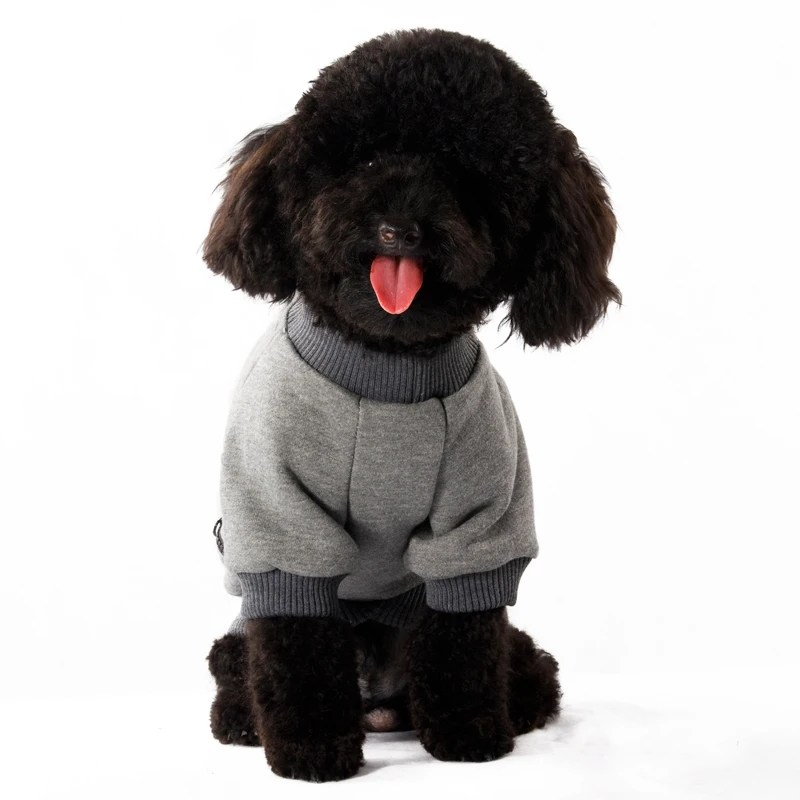 pet clothes