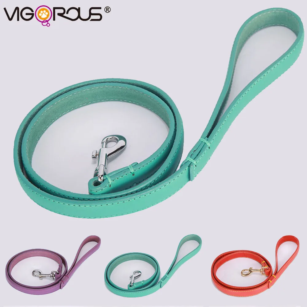 Dog Leashes in Collars and Leads Pets Products for All Dogs Supply Dogs