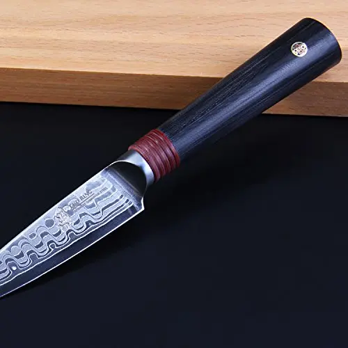 TUO нож для очистки столовых приборов-японский AUS-10 дамасский Дракон шаблон Фруктовый нож-нескользящая эргономичная ручка G10-3,5''
