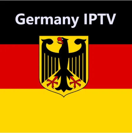 Бесплатные французский арабский голландский Android m3u Smart iptv Allemagne Премиум сервера abonnement