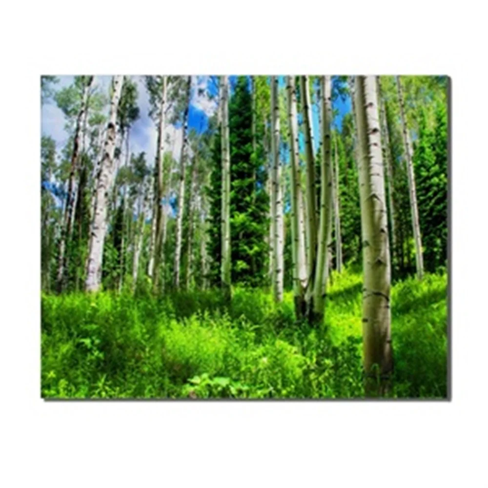 

Spring Natural Forest Scenery Blue Sky Green Grass Tree Oil Canvas Wall Artwork For Home Decoration Living Room Bedroom No Frame