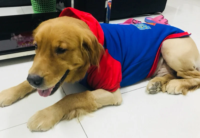 TB2whP5d5b.BuNjt_jDXXbOzpXa_!!0-rate