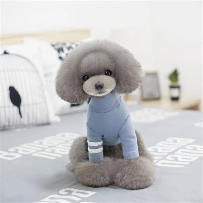 dog fashion clothes (5)