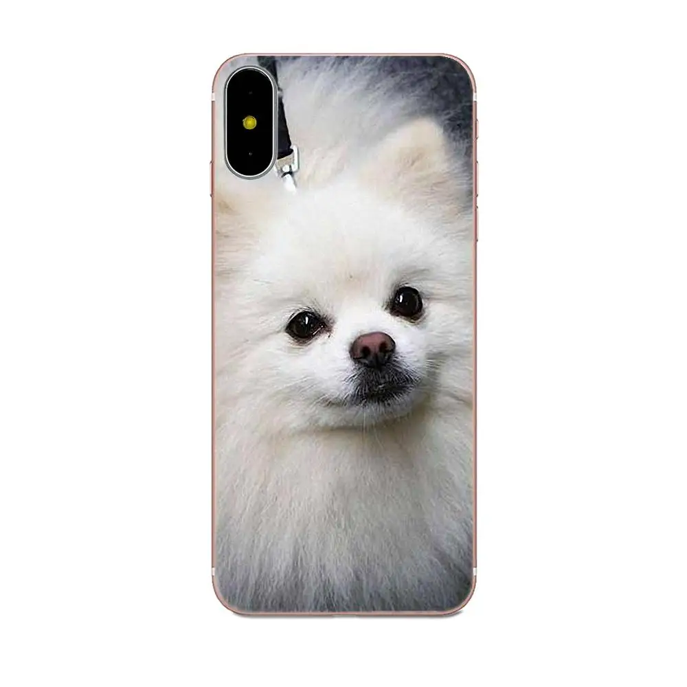 Цветной постер для Sony Xperia Z Z1 Z2 Z3 Z4 Z5 compact Mini M2 M4 M5 T3 E3 E5 XA XA1 XZ Premium Pomeranian Dogs