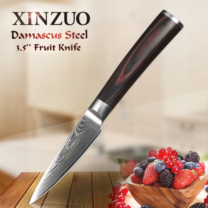 

XINZUO 3.5" inch Paring Knife Japanese 67 Layers Damascus Steel Kitchen Knife High Quality Fruit Knife with Pakkawood Handle