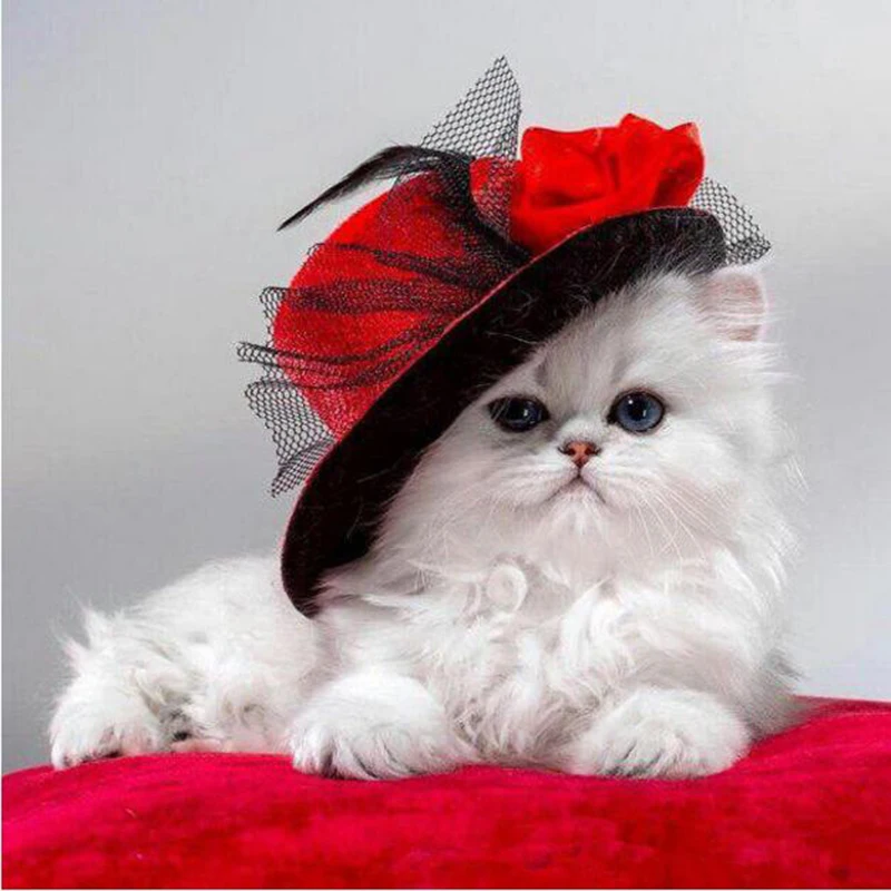 

Full circular Diamond A cat in a hat DIY 5D Diamond Painting Cross Stitch Kids Embroidery Diamond Mosaic Home decor YY