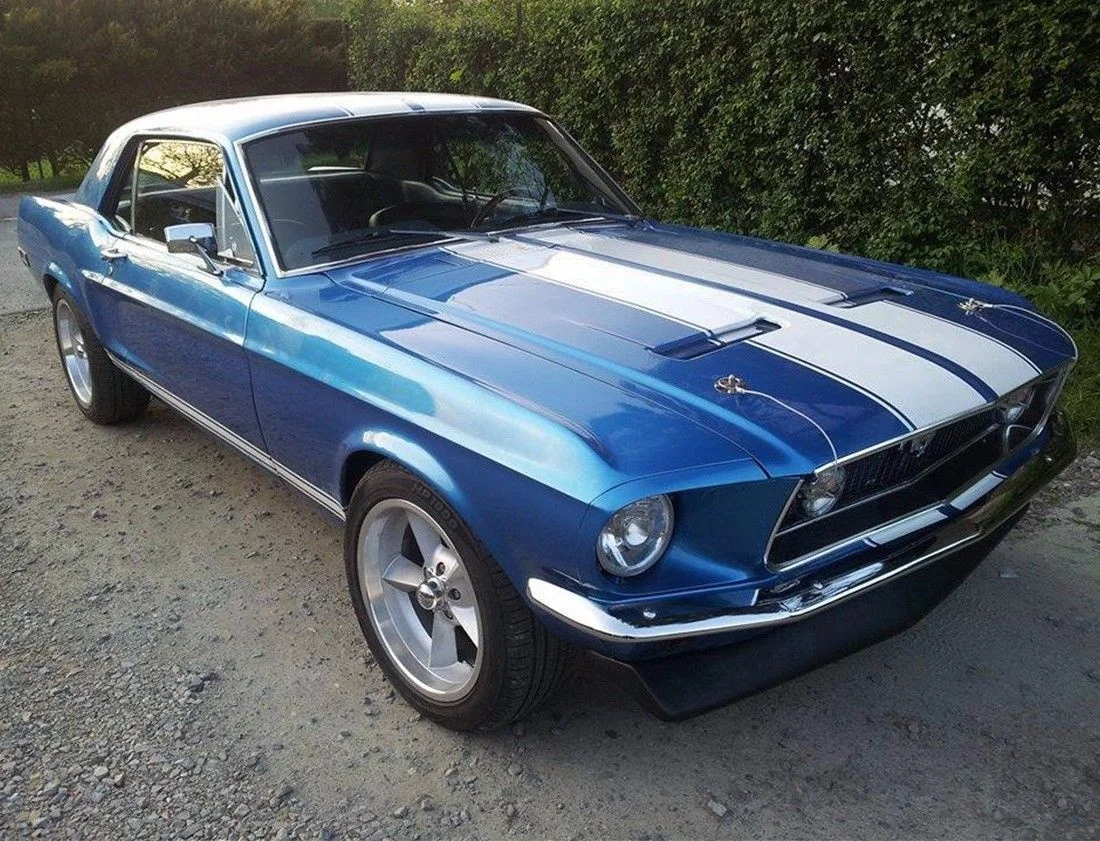 Ford Mustang 1965 РІРёРЅРёР»