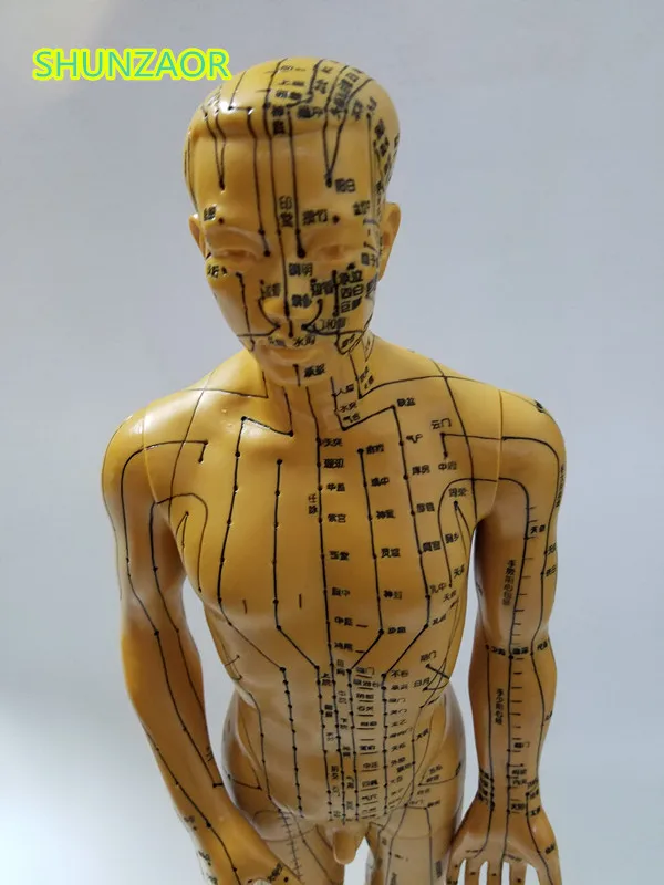 Ciência Médica de acupuntura do corpo humano Tipo : Maniquim