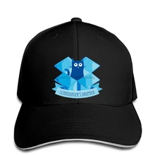 Мужская бейсболка с принтом Schr246dinger, Женская Бейсболка