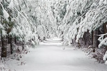 

LIFE MAGIC BOX Fond Photographie Horizontal Snow Christmas for The Photographer Photo Studio Backgrounds