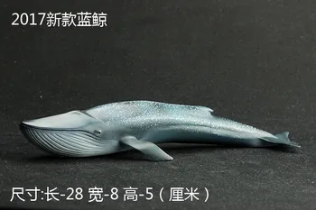 

28CM LONG Benthic marine mammal model whale razorback whale Furnishing props model wild crafts room Home