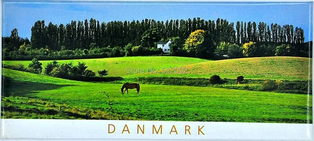 

Fridge magnet DANMARK Rectangle Country Old Castle Daughter of the Sea Metal Fridge Tourism Souvenir Home Decor Magnets