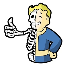 Fallout vedle значок для мальчика лацкан булавка Эмаль Булавка