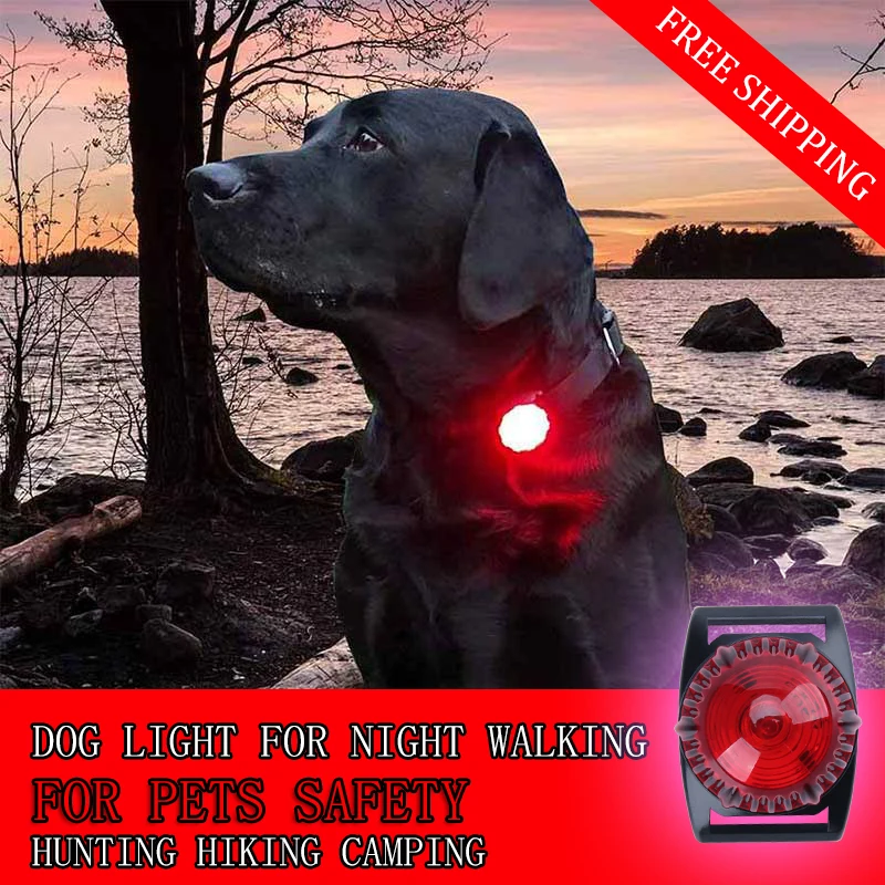 Buy LED Dog Collar Light Flash Light in Dark Night Pet Safety Light LED Cat