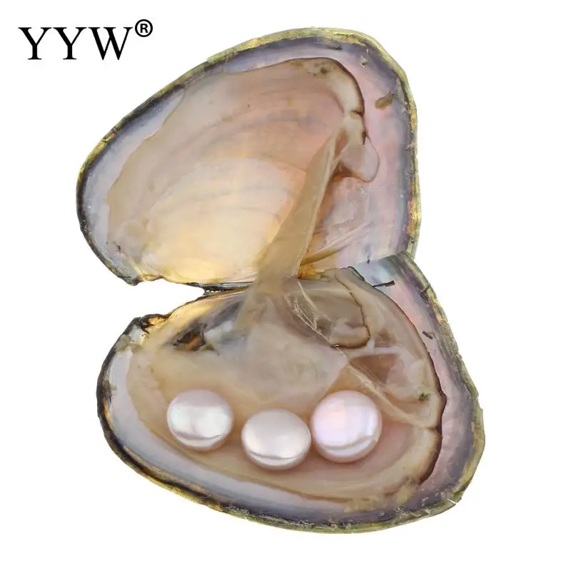 

YYW Women Mom Gifts Natural 13-14mm Button Pearl Beads Vacuum-packed Shell Jewelry Freshwater Cultured Love Wish Pearl Oyster