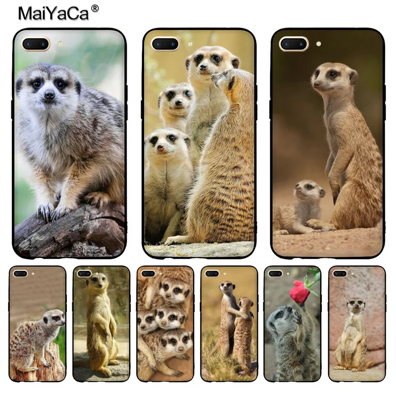MaiYaCa animal mob of meerkats Diy защитный чехол для сотового телефона OPPO R9 R9S R11 PLUS casefor vivo X9 X20 |