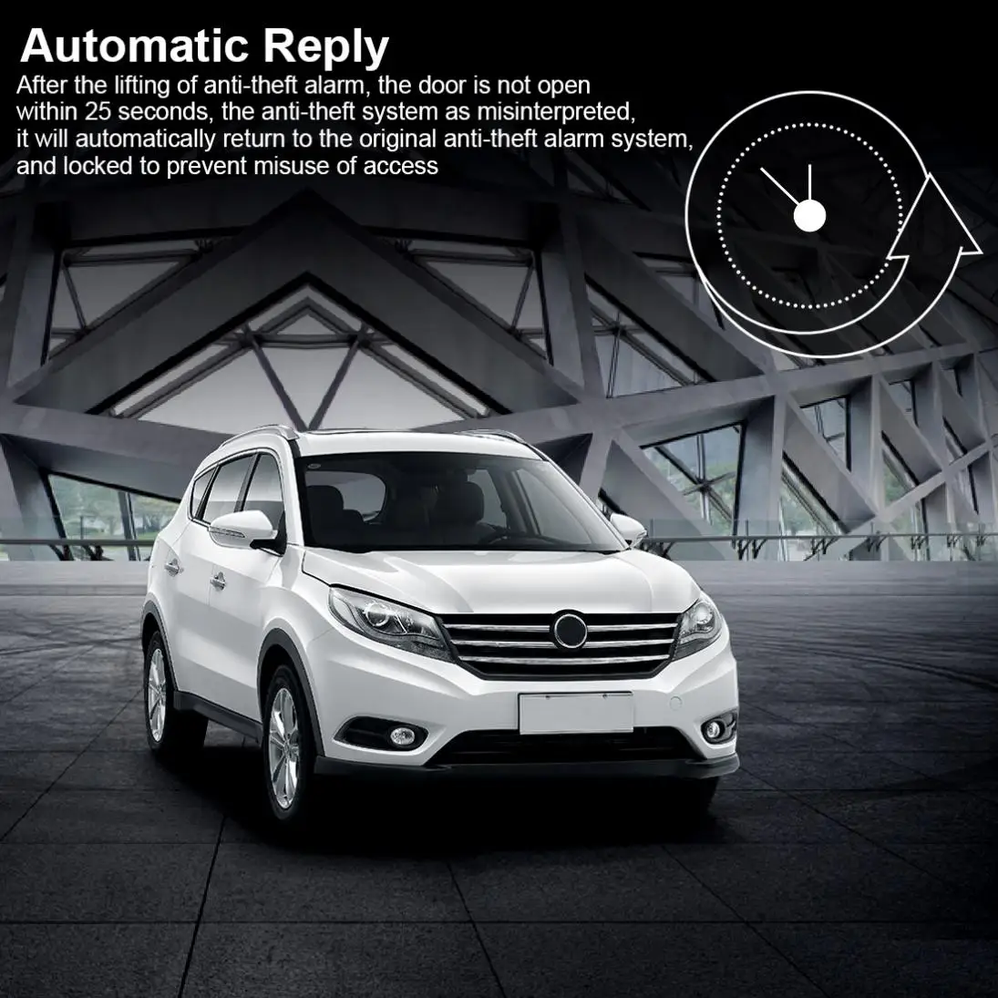 24954-description-4-l1.jpg