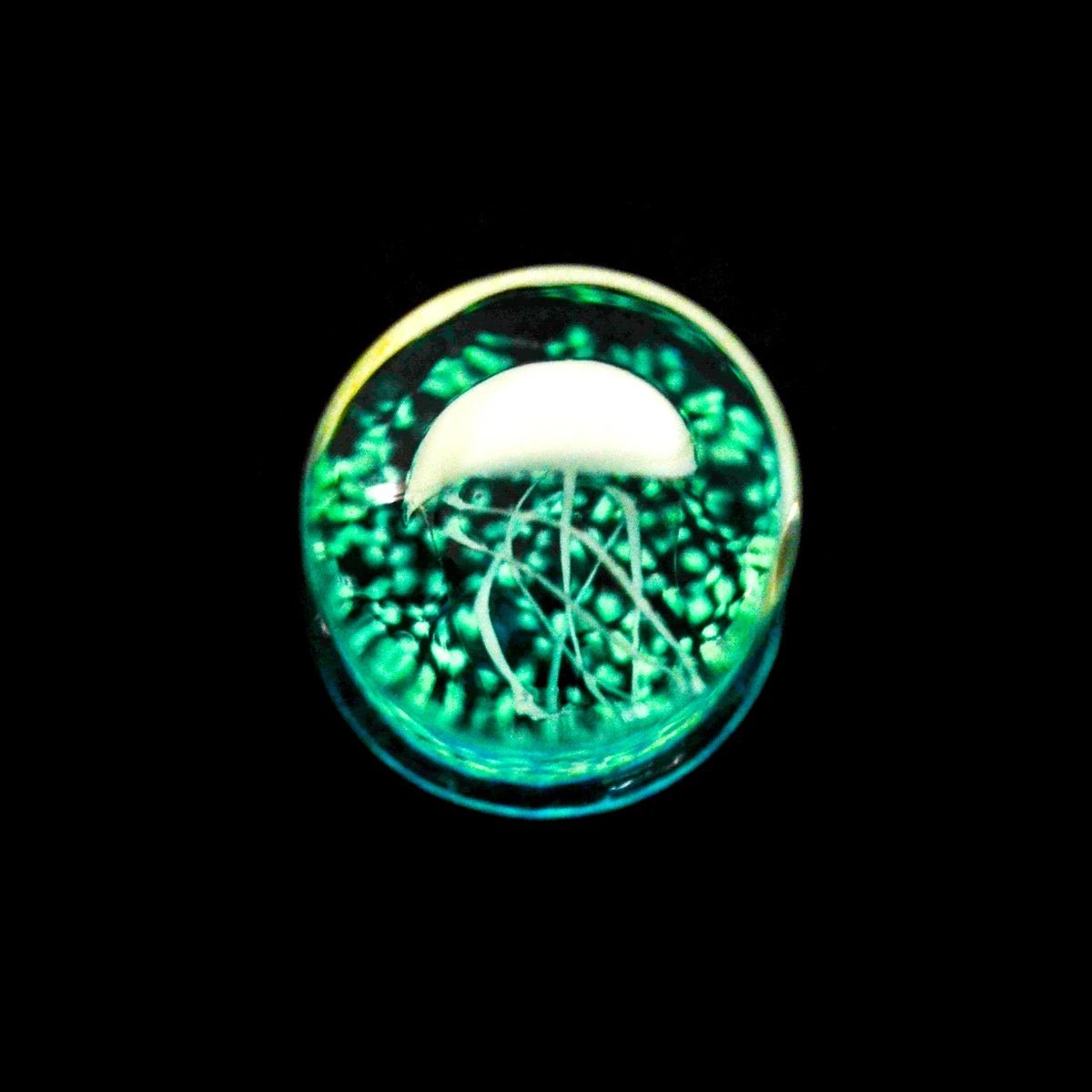 2pcs 8-16mm Green Jellyfish Grass Ear Plug Ocean Double Flared Translucent Bright Ear Gauge Expander Ear Piercing Body Jewelry