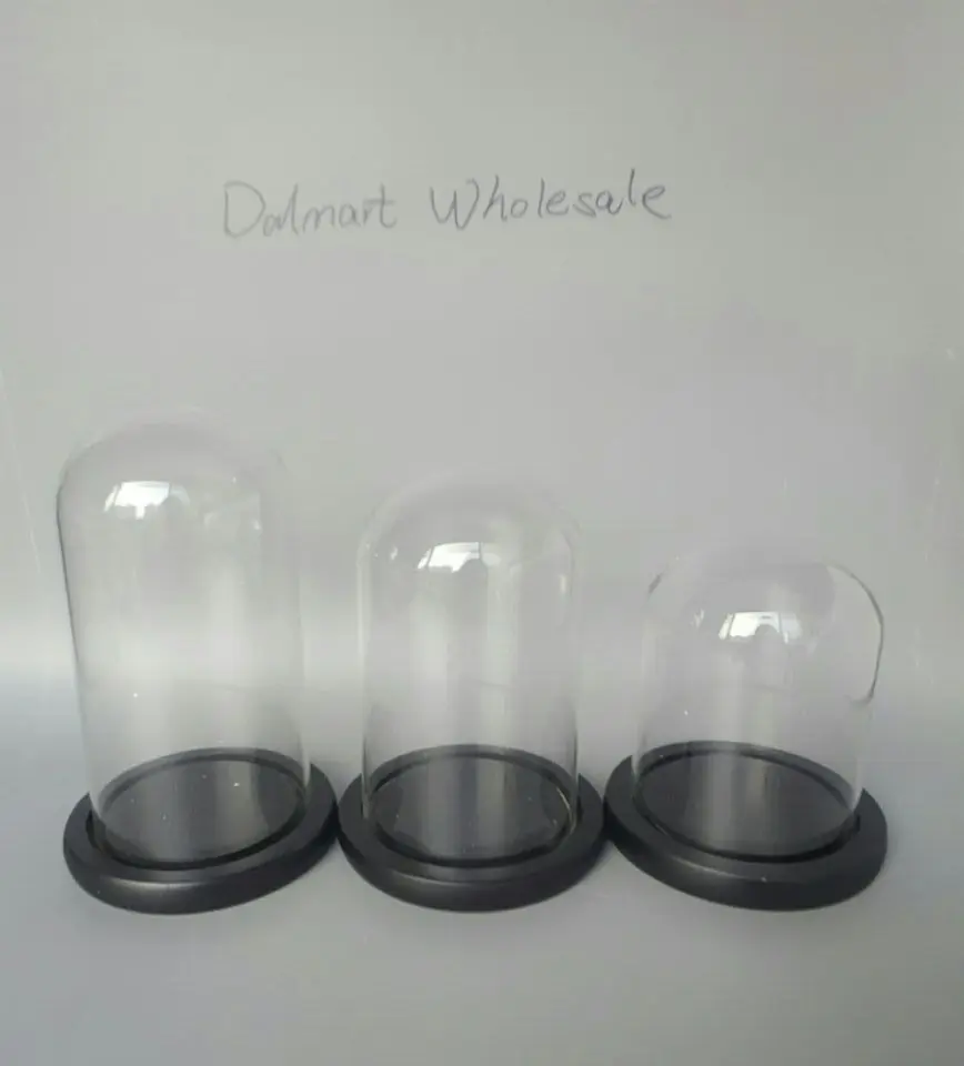 2pc Diameter 12 15 18 20 cm Clear Dome Glass Cover with Black Wood