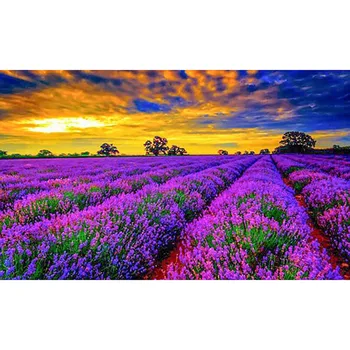 

Painting Full Square Drill DIY Lavender Field Landscape Canvas Diamond Handmade Embroidery Sale Picture Mosaic Home Decor