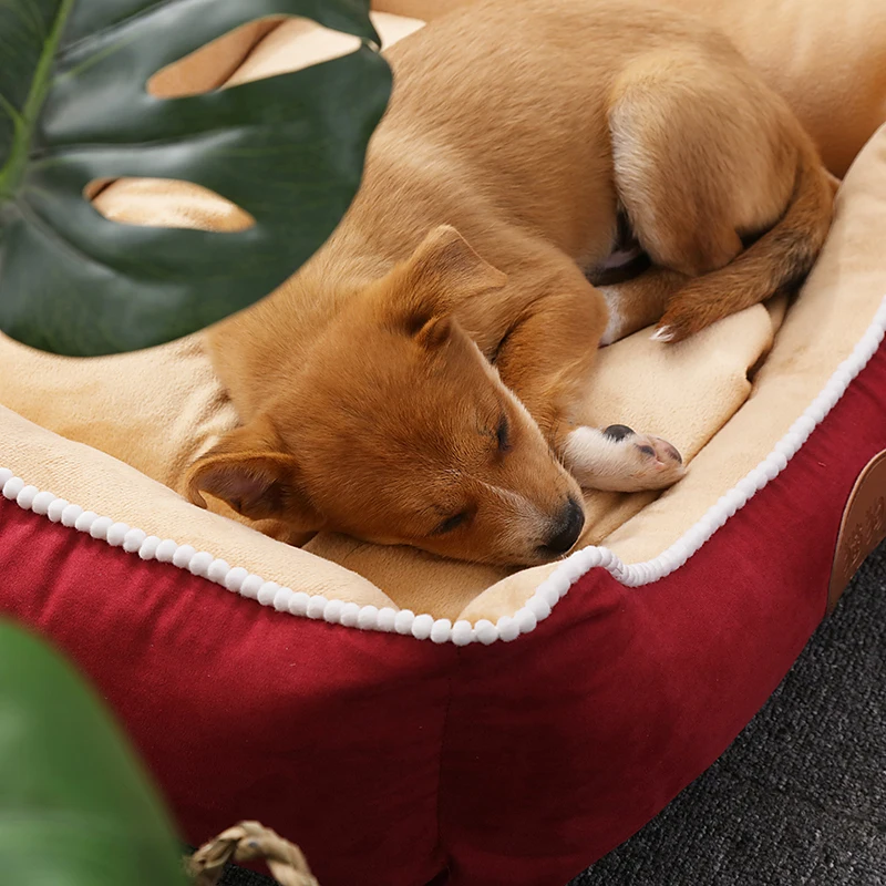 Dog Bed for Small Dogs (10)