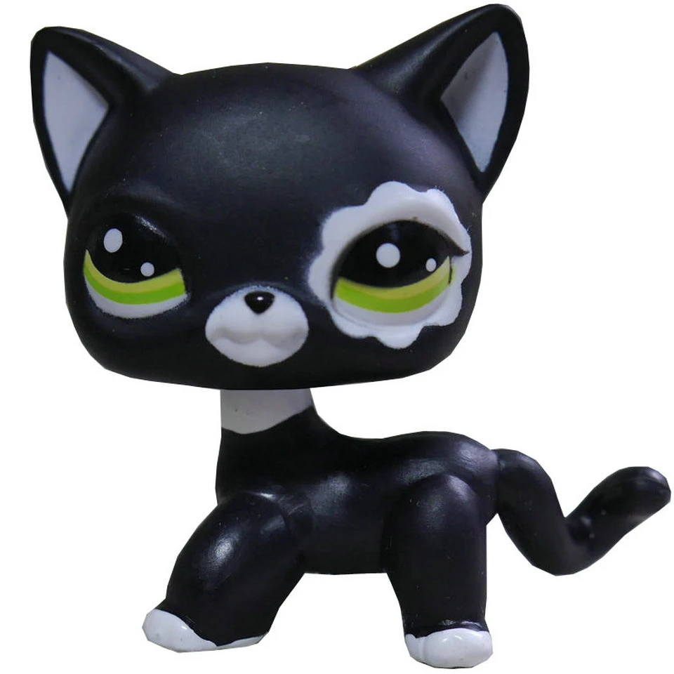 Yeux Verts Chat Noir Yeux Verts 2249 Mini Figurine D Action 2 Jouet Pour Enfants D Age Prescolaire Meilleur Cadeau Aliexpress Yeux Verts Chat Noir Yeux Verts 2249 Mini Figurine D Action 2 Jouet Pour Enfants D Age Prescolaire Meilleur Cadeau Aliexpress