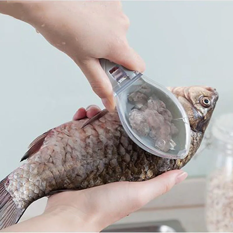 fish skin brush