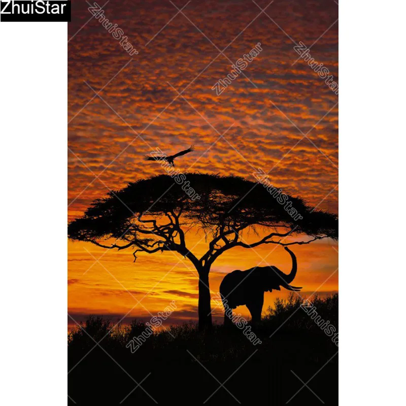 fototapeet-4-501-african-sunse 