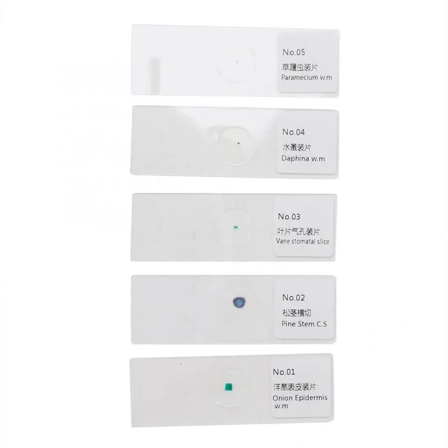 

5pcs Microbiological Bacterial Specimens Biology Microscope Slices Lab Specimen