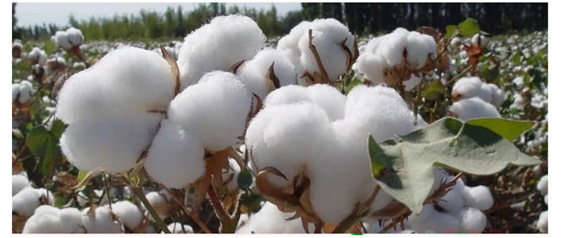 Breathable-Baby-Feeding-Nursing-Covers-Mum-Breastfeeding-Nursing-Poncho-Cover-Up-Cotton-Adjustable-Neckline-Cover (15)