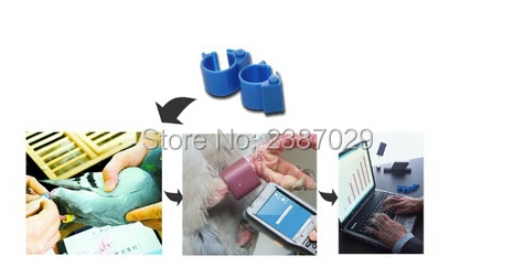 Rfid Ring Tag