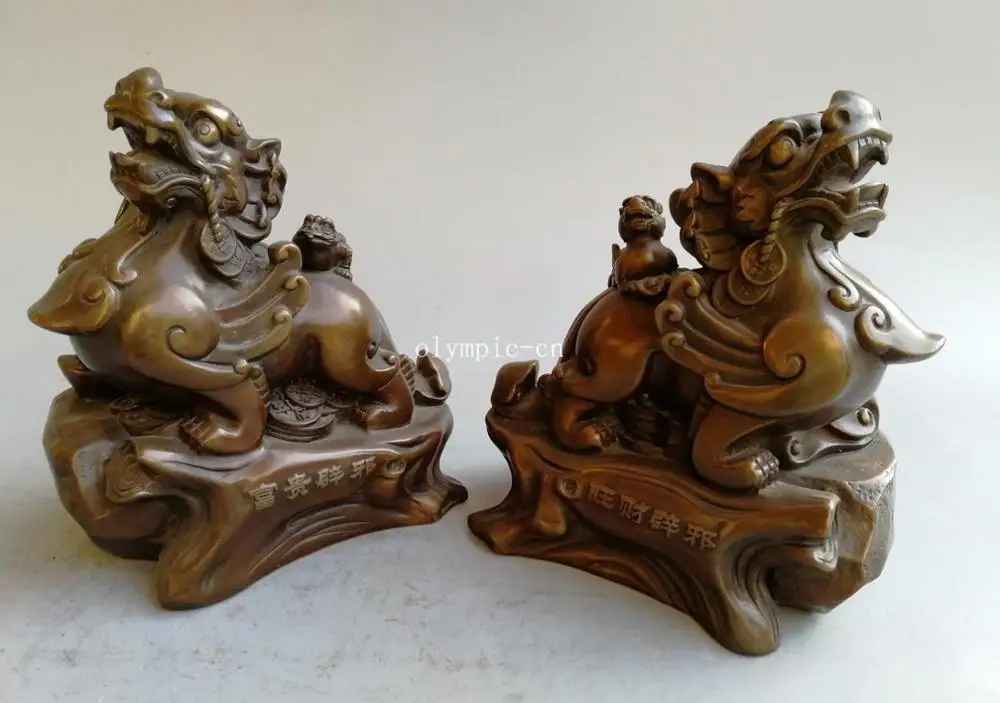 

Pair 9'' Fine Bronze exorcise evil spirits wild animal plutus Beast dragon PIXIU