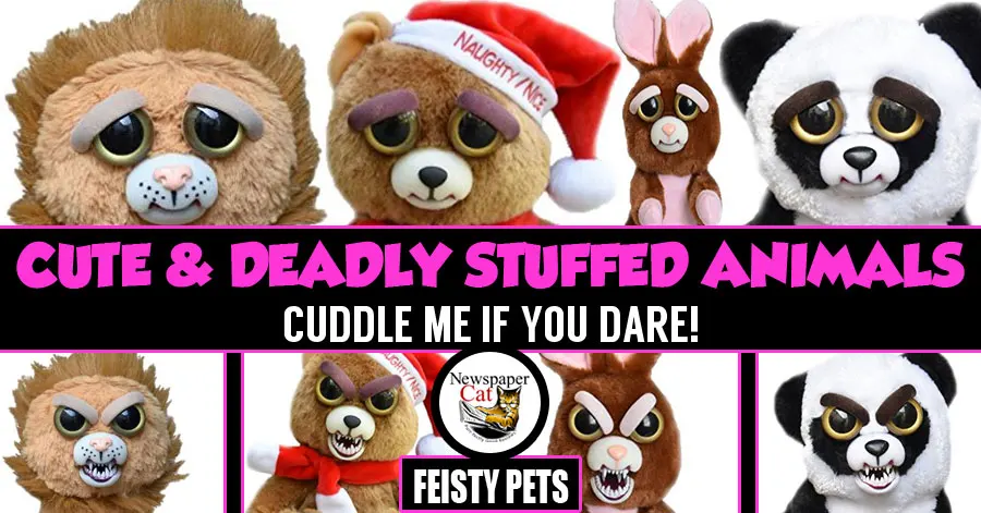 feistypetsreview