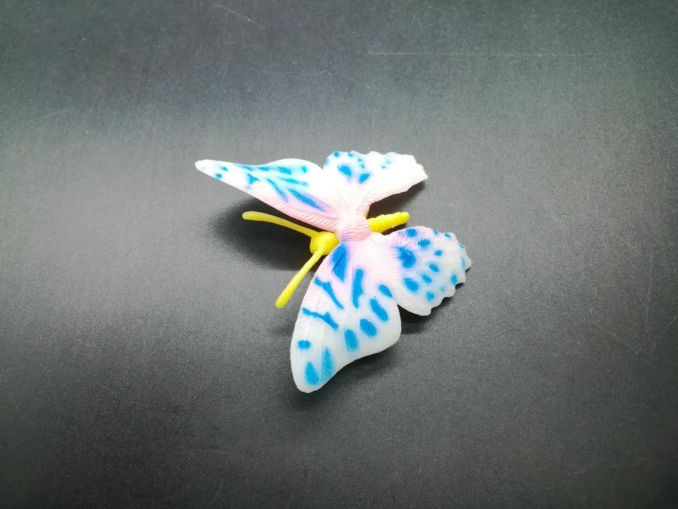 I868 (6)