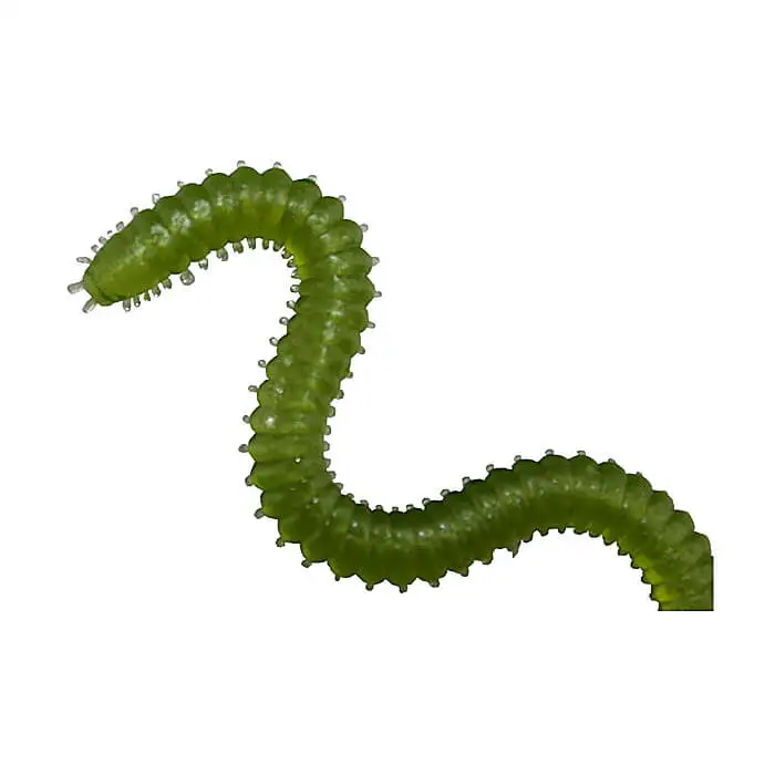 2109363898_822050164