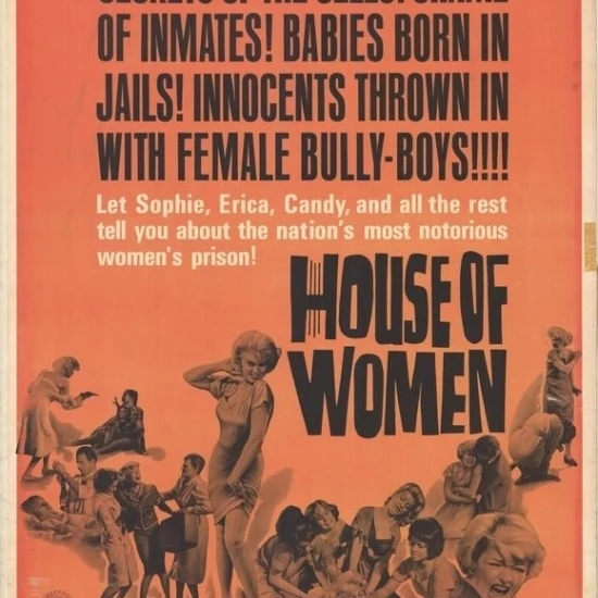 House of Women Movie Poster (27 x 40)