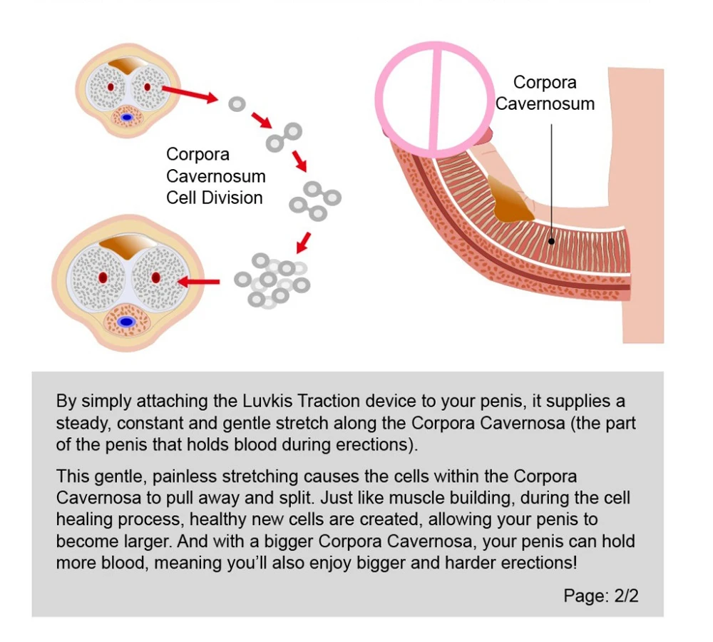 Мужское растягивающее устройство 3-го поколения, коррекция натяжения и тяги, система увеличения пениса, мужской увеличитель