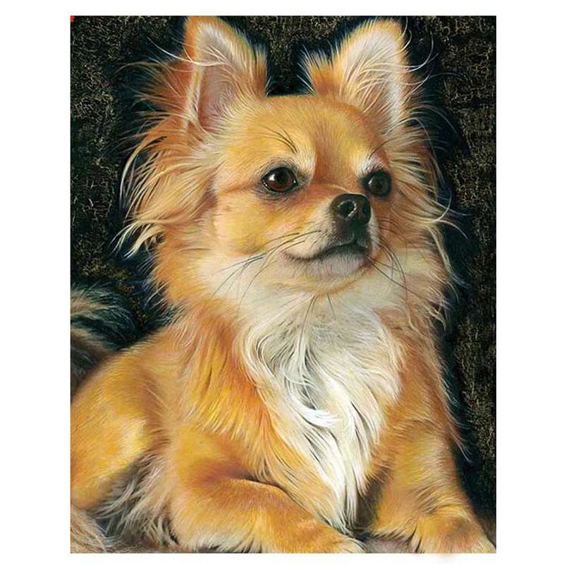 Full Drill Square 5D Diy Diamond Painting Chihuahua dog Diamond Embroidery Cross Stitch rhinestones paintings 