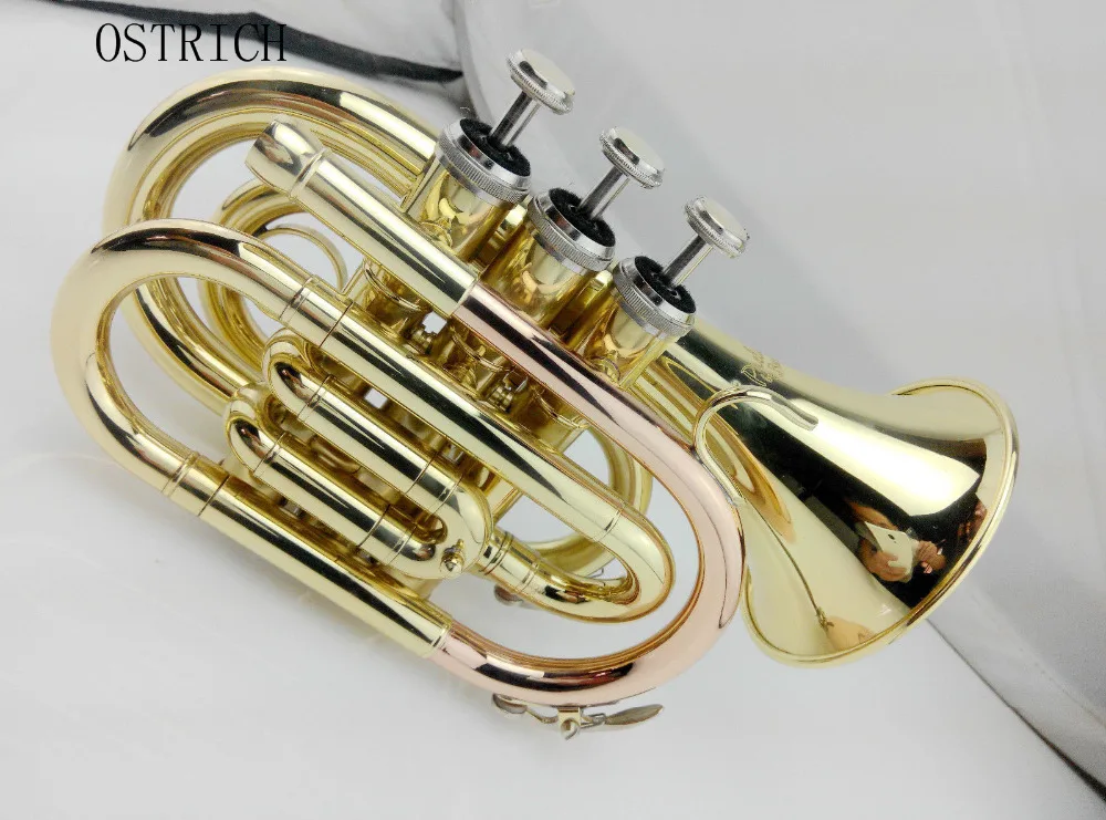 s2-l1600