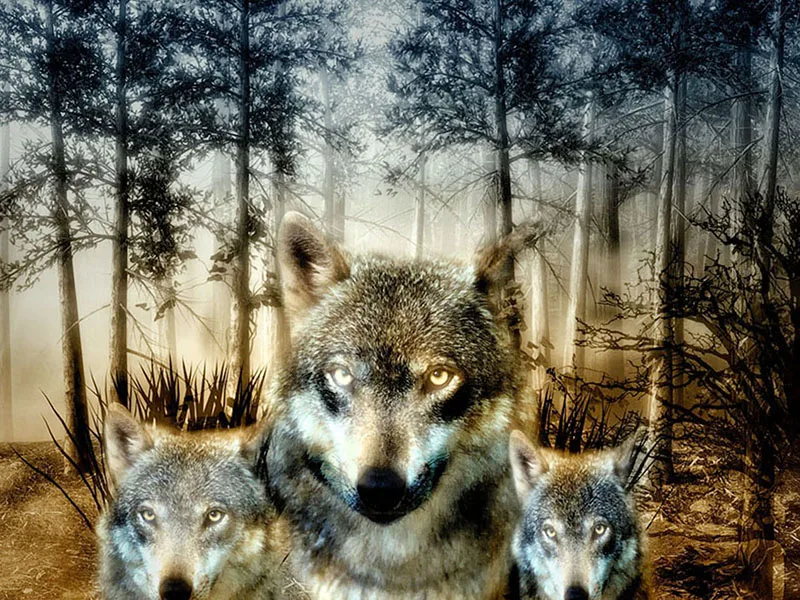 

Diamond Embroidery Wolf Family Animals Cross Stitch 5D Full Square Mosaic Diamond Painting Sale DIY Sticker Decor Paintings