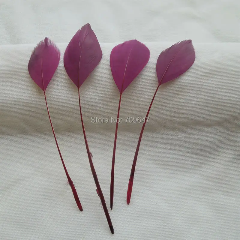 

100PCS/LOT!Maroon/Dark Reddish Purple Stripped Goose Feathers-Costume,Party,Decor,Hats,Rave,Theater,10-18cm long