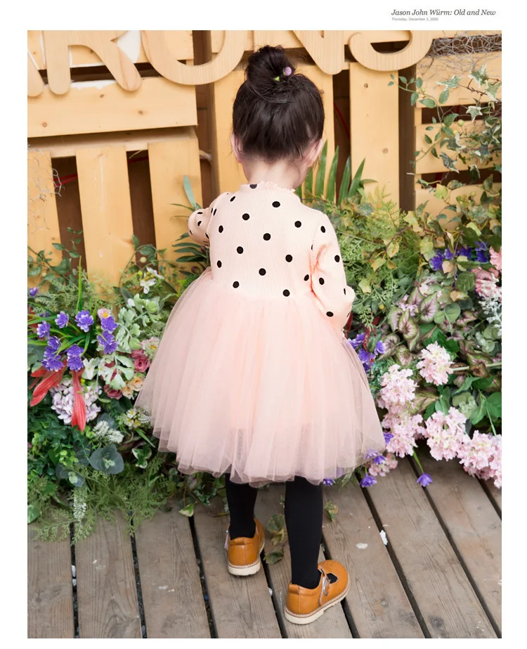 4442048422_816953064