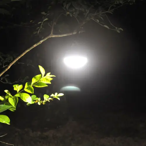 2549502732_1033196706